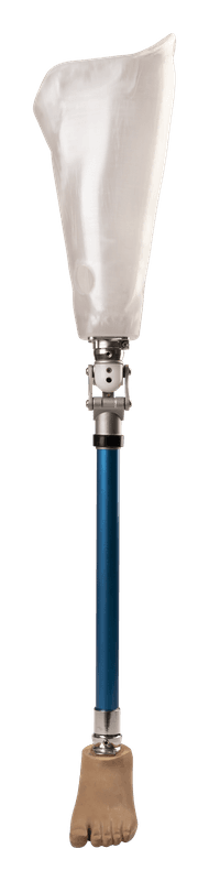 AK polycentric knee joint